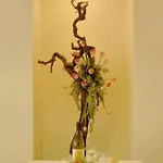 Hotel Bristol Alassio