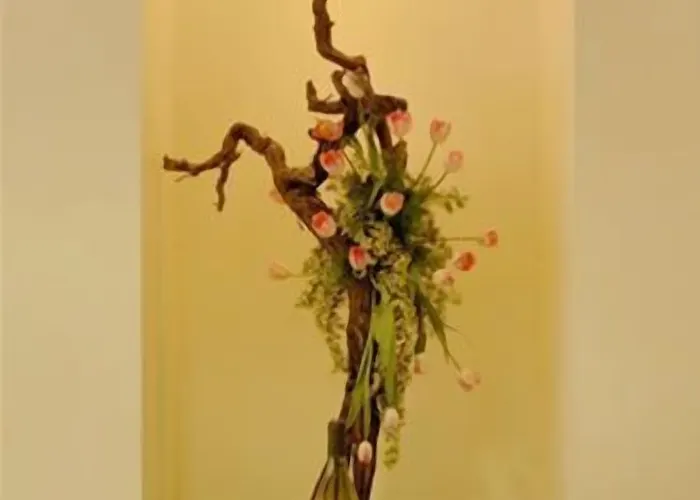 酒店 布里斯托尔酒店 阿拉西奥