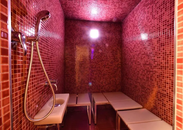 酒店 布里斯托尔酒店 3*